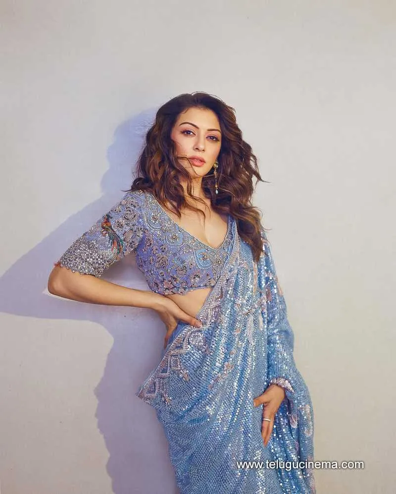 Hansika Stills 140525 01