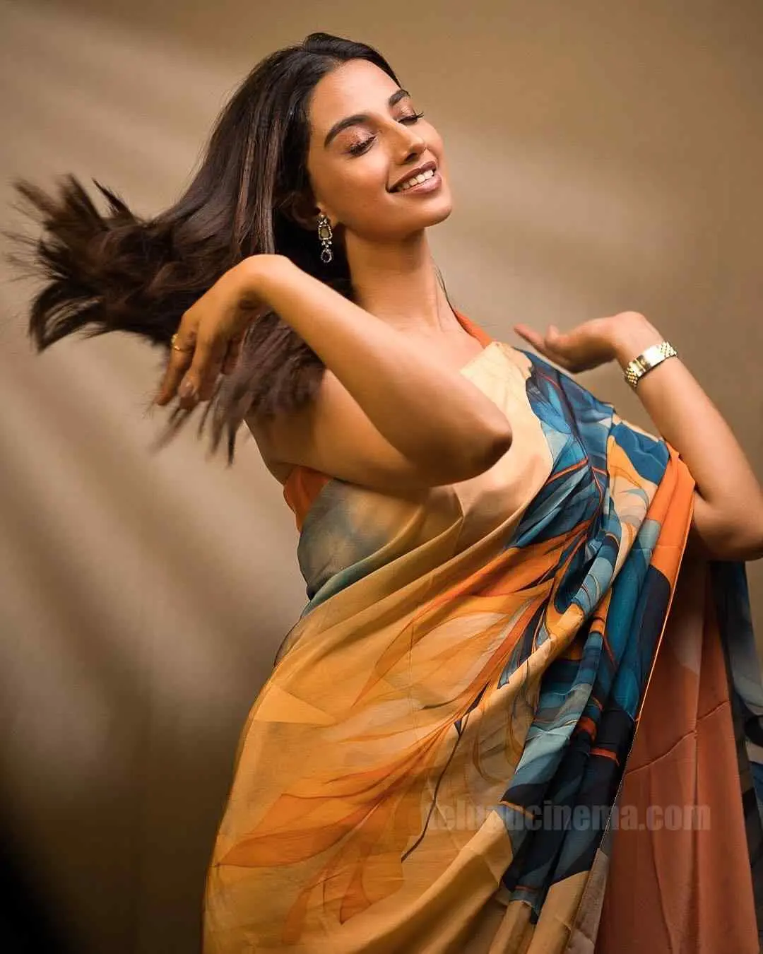 Meenakshi Chaudhary Saree Photos