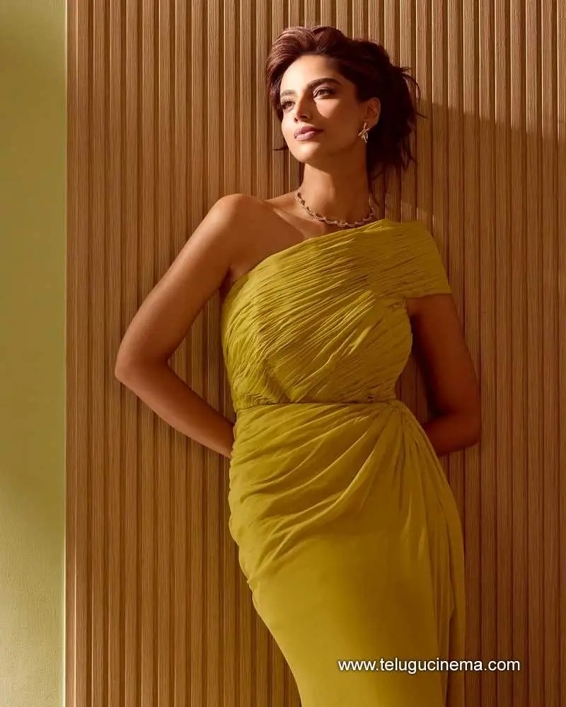 Meenakshi Stills 040625 01