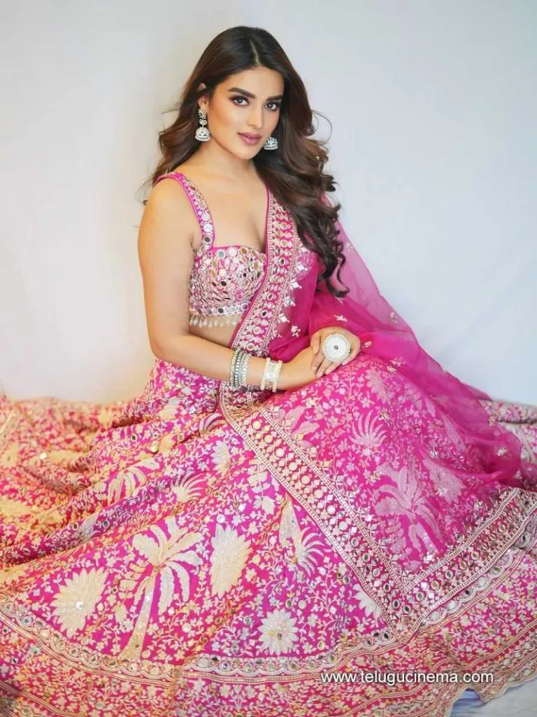 Niddhi Stills 270625 01