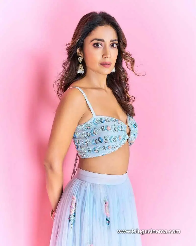 Shriya glows in pastel lehenga