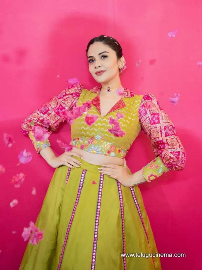 Sreemukhi Stills 120625 01
